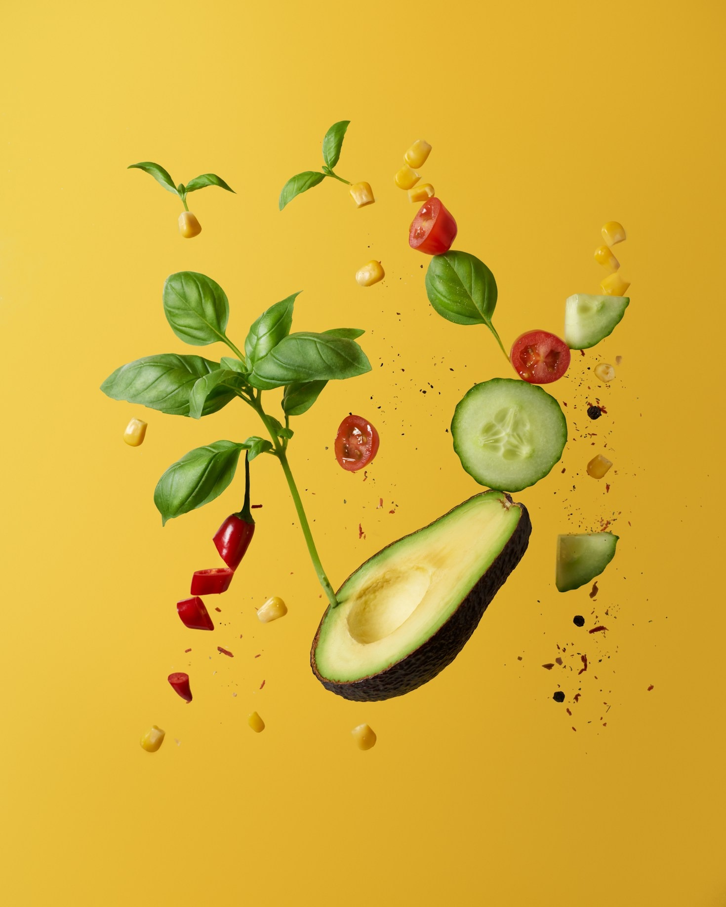 Empowering Your Health Journey Through Knowledge